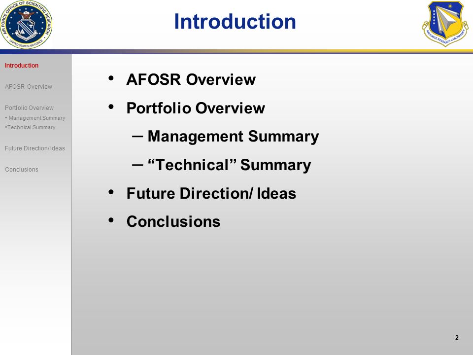 Cornell dissertation biographical sketch afosr